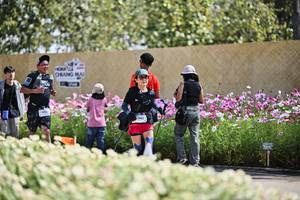 BIB: 
                            <button type="button" onclick="openModal(27795342)" class="btn btn-primary btn-sm float-right btn-popup" data-toggle="modal" data-target=".modal-high-quality">
                        <i class="fas fa-shopping-cart"></i> Add to Cart
                    </button>
                                            <button type="button" onclick="isThisMe(27795342, true)" class="btn btn-success btn-sm float-right btn-popup btn-isme hidden" data-toggle="tooltip" data-placement="bottom" title="นี่คือรูปของคุณใช่ไหม คลิกที่นี่เพื่อเอาเข้าอัลบั้ม">
                        <i class="fas fa-plus"></i> Add to album
                    </button>
                    <button type="button" onclick="isThisMe(27795342, false)" class="btn btn-warning btn-sm float-right btn-popup btn-isnotme hidden">
                        <i class="fas fa-ban"></i> Remove from album
                    </button>